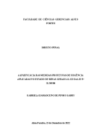 GABRIELA DAMASCENO DE PINHO GABRY